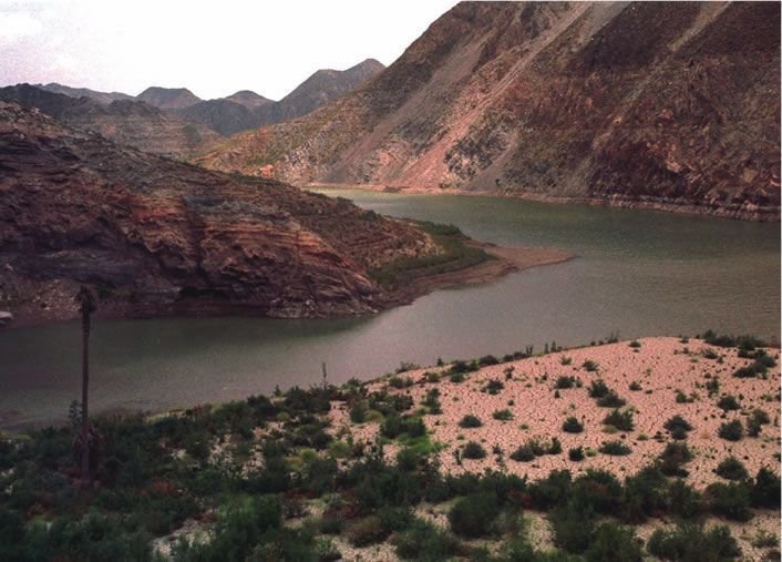 CÓNDOR RECHAZA EL PROYECTO DE CONSTRUCCIÓN DE UN PUERTO DEPORTIVO EN CUEVAS DEL ALMANZORA