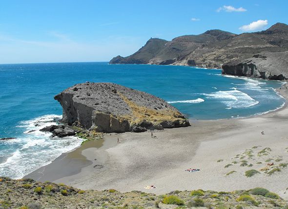 CÓNDOR SE BAJA DE LA MONTAÑA AL MAR