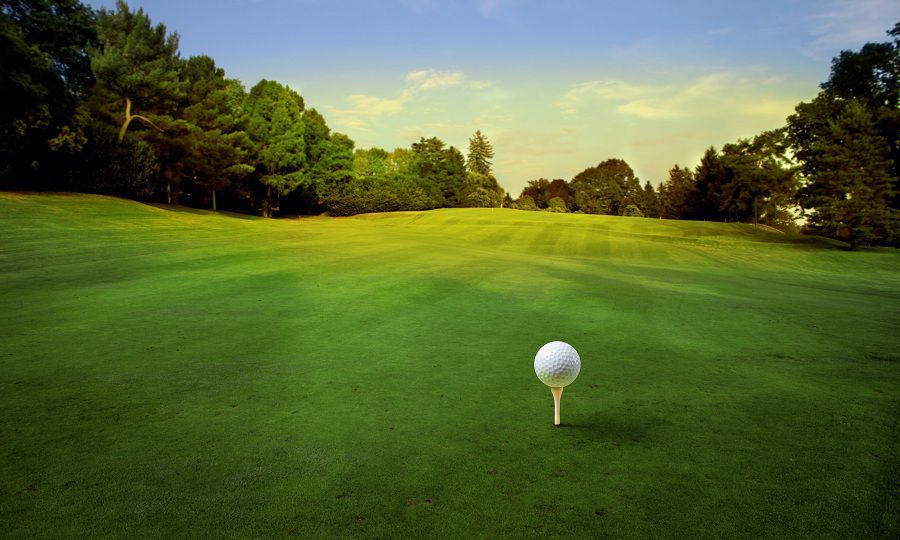 CÓNDOR CONSIDERA UNA BARBARIDAD LOS CAMPOS DE GOLF PROPUESTOS POR ASEMPAL PARA LA PROVINCIA DE ALMERÍA