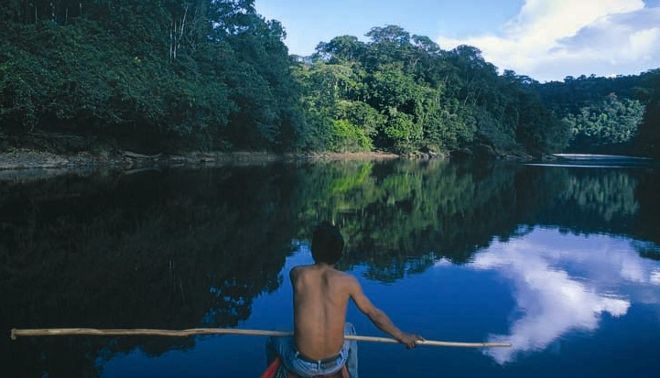 EL GRUPO ECOLOGISTA CÓNDOR HACE UN BALANCE MUY POSITIVO DEL CURSO 2007/2008