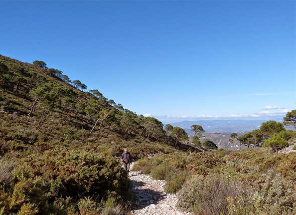 72 Montañeros en el Sendero de Los Pradillos del pasado 3 de marzo