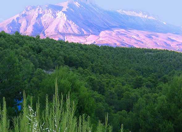 Itinerario de Montañismo por el Parque Natural de Sierra María – Los Vélez (Vélez Blanco – María)