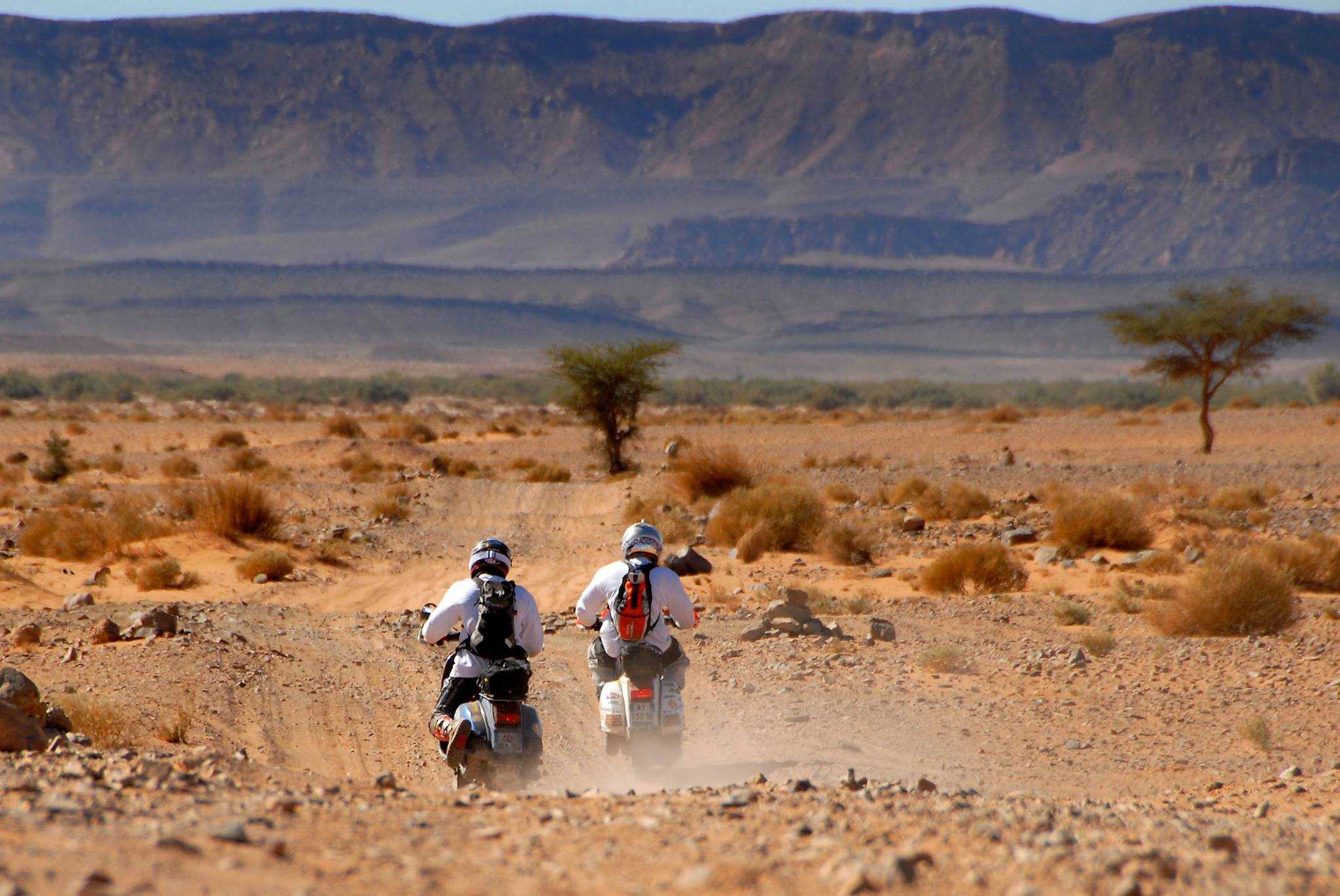 EL GRUPO ECOLOGISTA CÓNDOR ADVIERTE DE LOS PROBLEMAS AMBIENTALES Y SOCIALES QUE SUPONE EL RAID MAROC