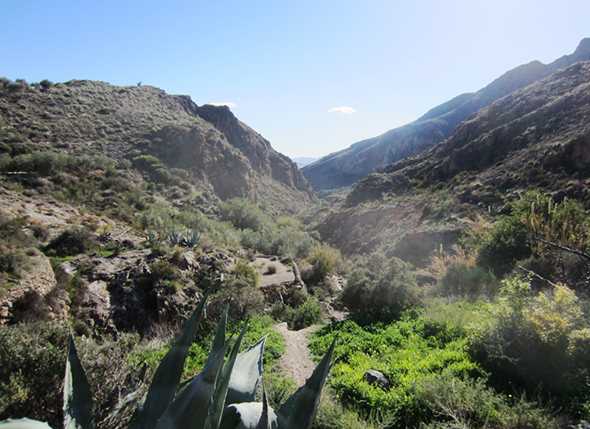 Cóndor realiza la ruta por Los Molinos de Huebro