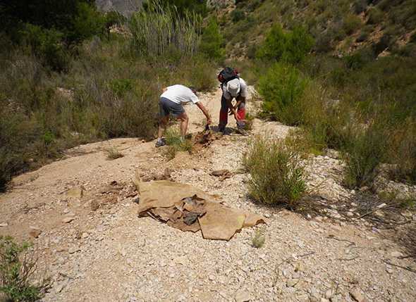 Campaña provincial de Protección de la Montaña 2013: Hazte amigo de la montaña ¡ Cuídala ! No tires basura