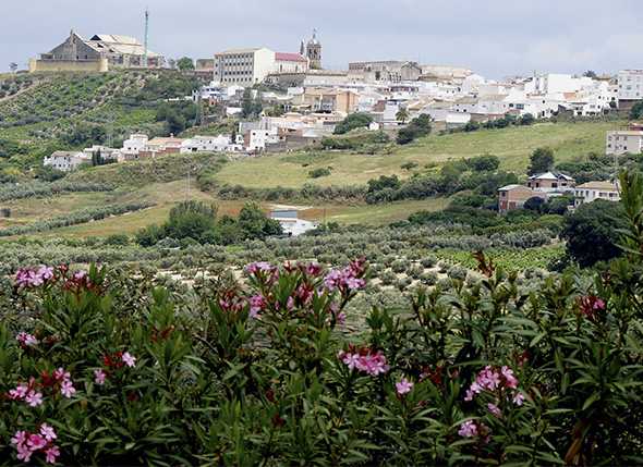 III Travesía Joven de Montilla 2012 (Córdoba)