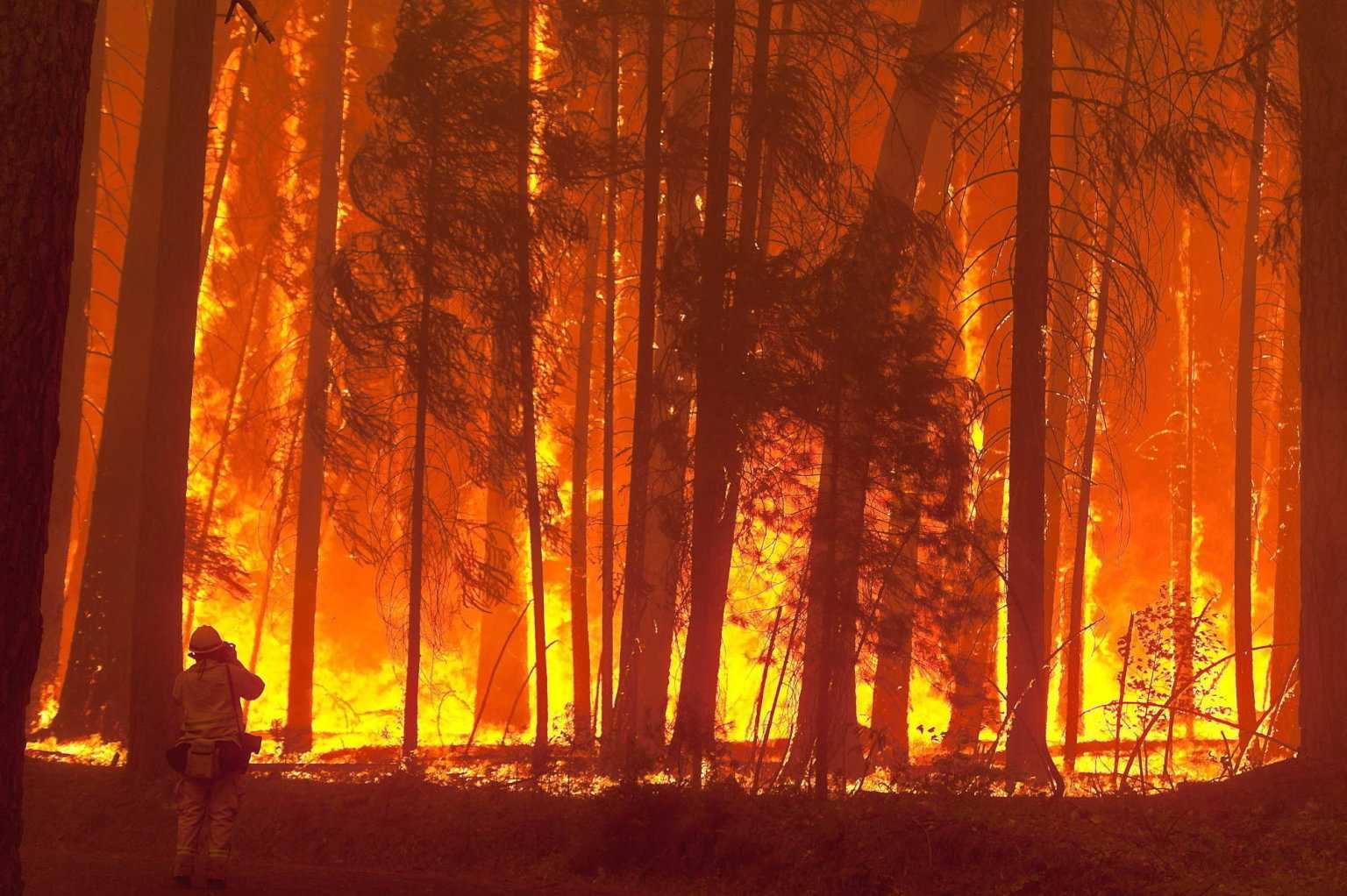 CÓNDOR CRÍTICA QUE ESTÉN EN LIBERTAD LOS CAUSANTES DEL INCENDIO DE LANJARÓN