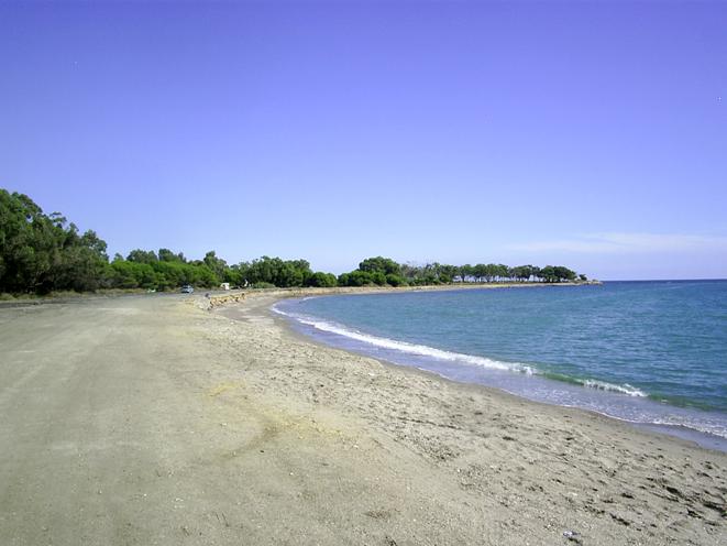 Salvemos Mojácar y Cóndor denuncian destrozos ambientales en la playa de Palomares y exigen su paralización a la Junta