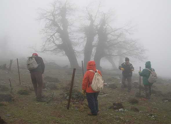 Campaña de Protección de la Montaña