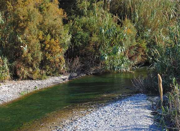 Marcha fresca: Cherín-Río Adra