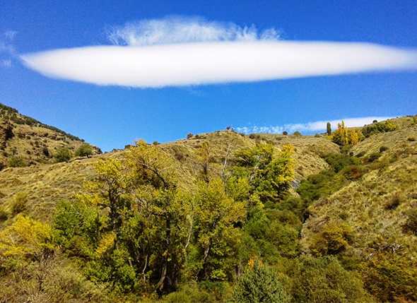 Sendero por el Castañar de Paterna del Río