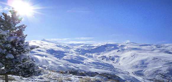 SE REALIZAN CONSTRUCCIONES ILEGALES EN SIERRA NEVADA CON EL BENEPLÁCITO DEL AYUNTAMIENTO DE PATERNA DEL RÍO