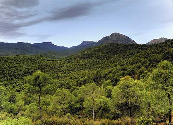 Itinerarios de montañismo por Sierra Espuña