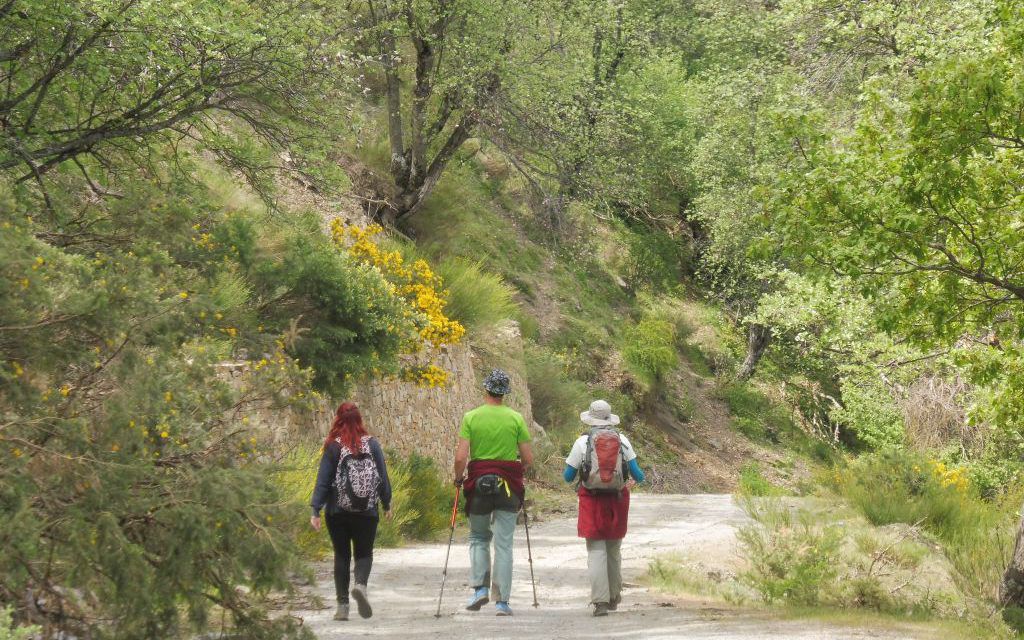 Ruta de Marcha Nórdica y de Senderismo por la Dehesa del Camarate (El Bosque Encantado)  Lugros (Granada) Domingo, 26 de Noviembre 2017