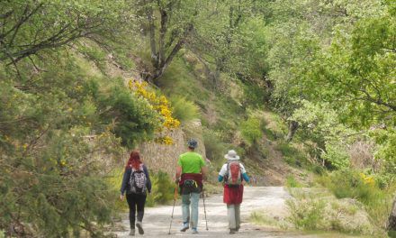 Ruta de Marcha Nórdica y de Senderismo por la Dehesa del Camarate (El Bosque Encantado)  Lugros (Granada) Domingo, 26 de Noviembre 2017