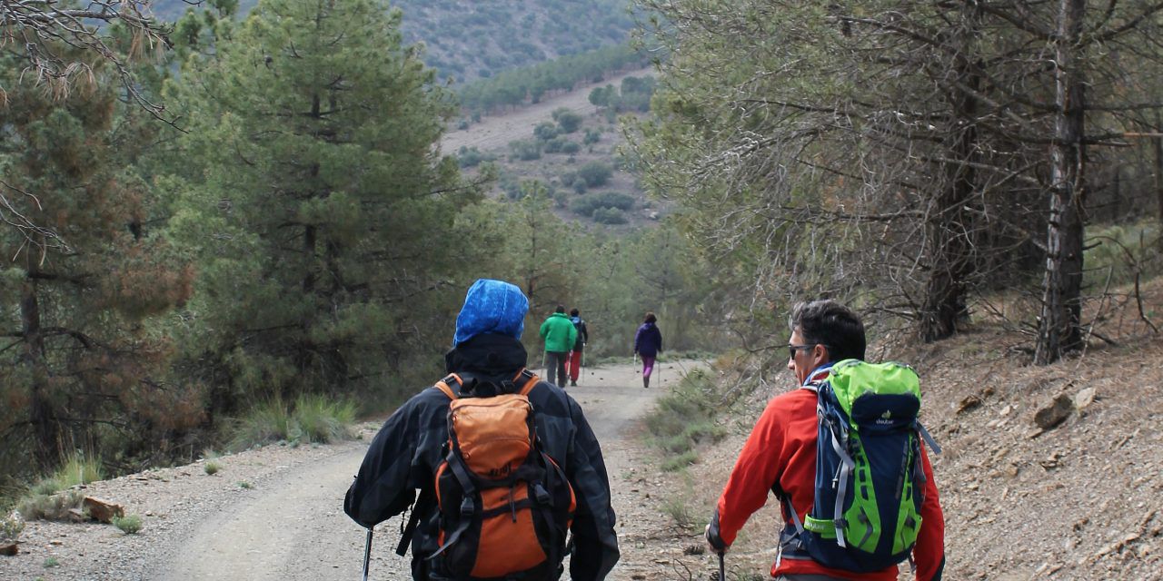 Actividades de Marcha Nórdica en Almería (2017-2018) Grupo Cóndor