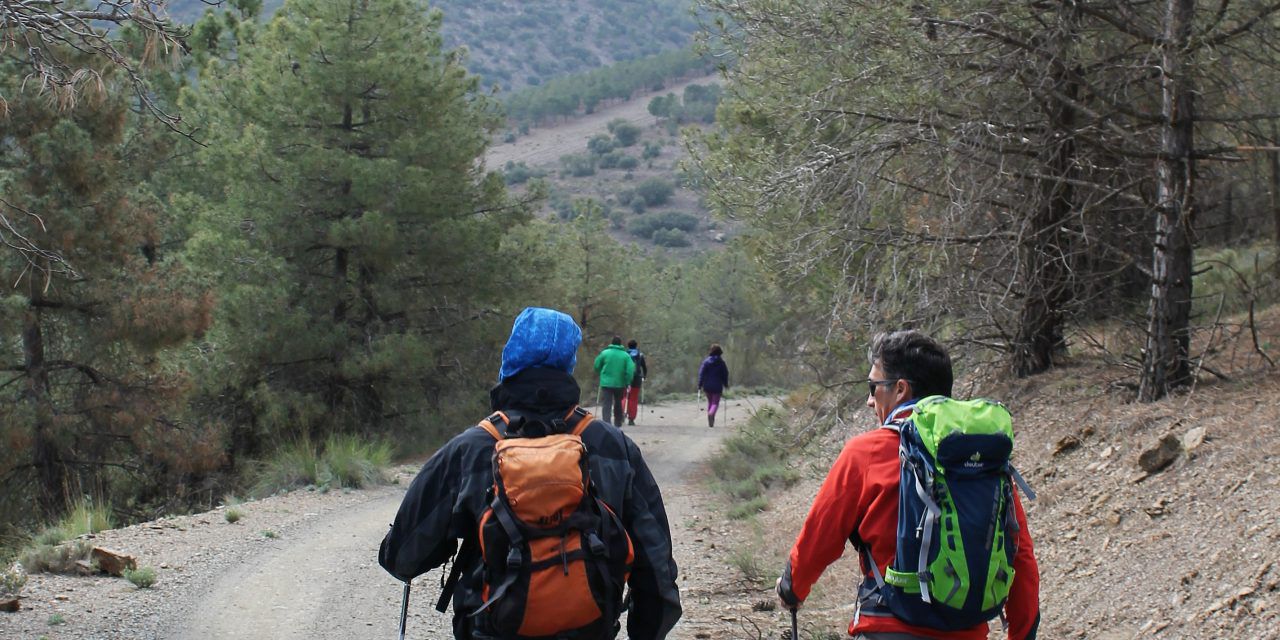 Actividades de Marcha Nórdica en Almería (2017-2018) Grupo Cóndor