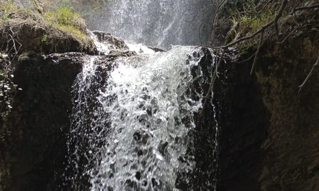 SENDERO «ACUATICO» POR EL RÍO DÚRCAL