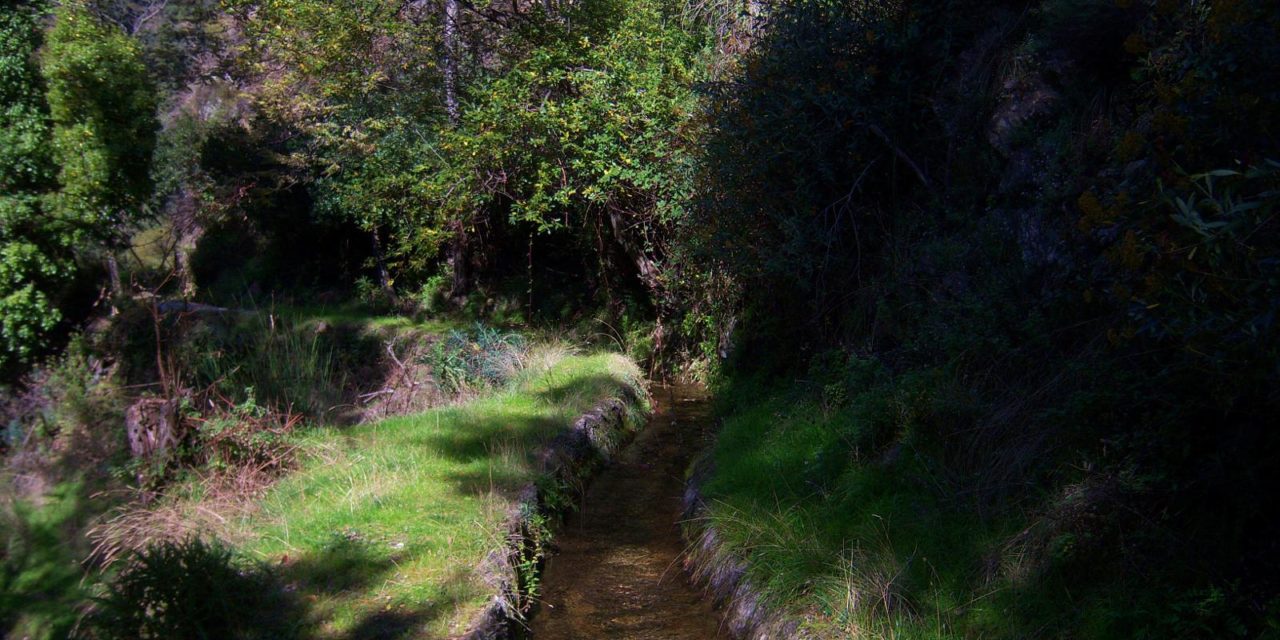 19/04/2025 SENDERO POR LAS ACEQUIAS DE CÁÑAR