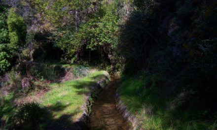 19/04/2025 SENDERO POR LAS ACEQUIAS DE CÁÑAR