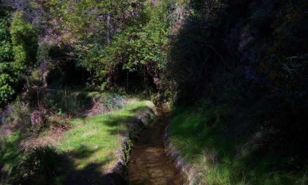 19/04/2025 SENDERO POR LAS ACEQUIAS DE CÁÑAR