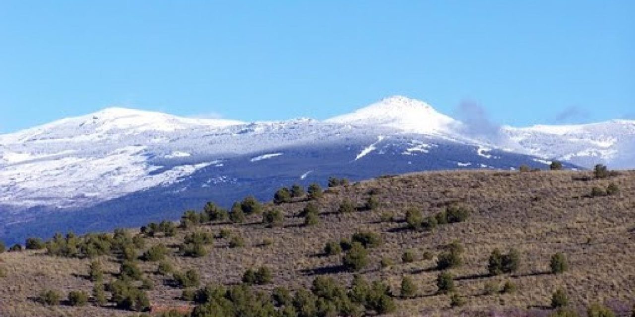 30-03-2025 SENDERO PR-A 296 LOS PRADILLOS DE ALCOLEA