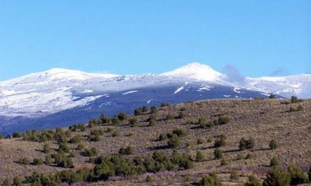 30-03-2025 SENDERO PR-A 296 LOS PRADILLOS DE ALCOLEA