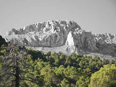 FIN DE SEMANA EN LA SIERRA DE MARÍA