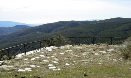 09/08/2025- SENDERO DE LUNA LLENA POR LA SIERRA DE LOS FILABRES