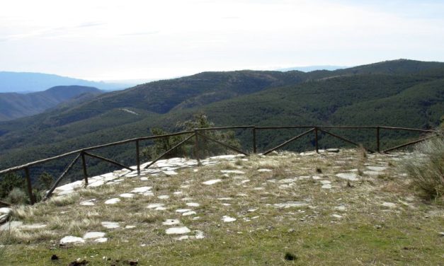 09/08/2025- SENDERO DE LUNA LLENA POR LA SIERRA DE LOS FILABRES