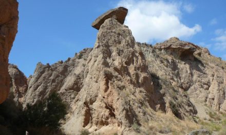 22/11/2025 SENDERO PR-A 16 CORDEL DE LA SOLANA (ALBOLODUY)