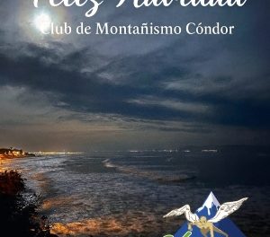 Felicitación navideña