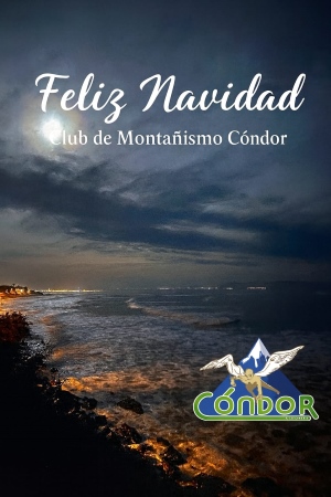 Felicitación navideña