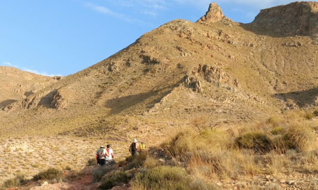 14.11.2026. ETAPA 9 DEL GR-140: DE NIJAR -LLANOS DE MARCOS PÉREZ(PRÓXIMO KM-21)